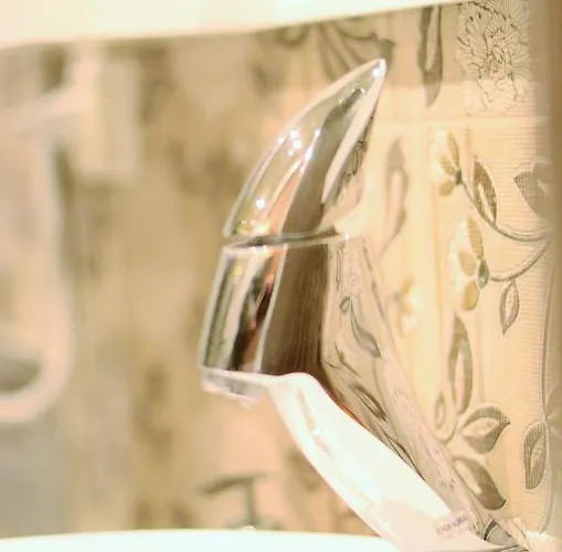 Silva * ティラナ